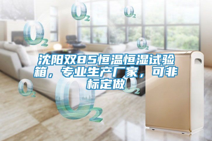 沈陽雙85恒溫恒濕試驗箱，專業(yè)生產(chǎn)廠家，可非標定做