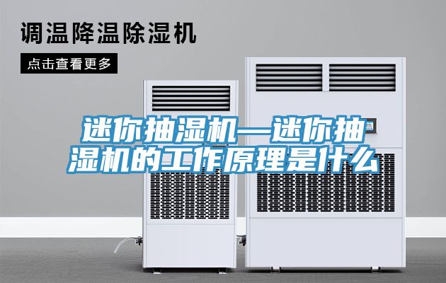 迷你抽濕機(jī)—迷你抽濕機(jī)的工作原理是什么