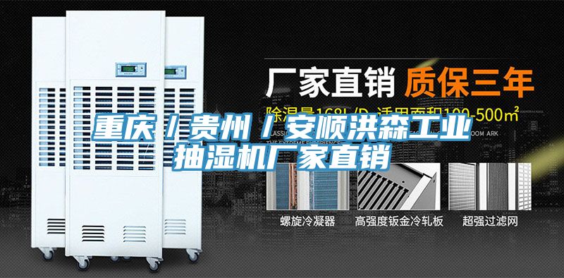 重慶／貴州／安順洪森工業(yè)抽濕機(jī)廠家直銷