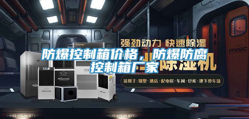 防爆控制箱價格，防爆防腐控制箱廠家