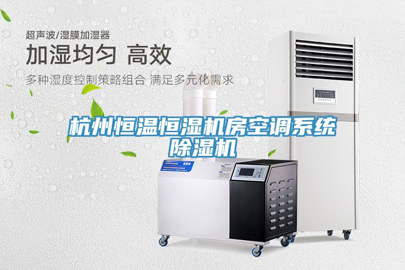 杭州恒溫恒濕機房空調(diào)系統(tǒng)除濕機
