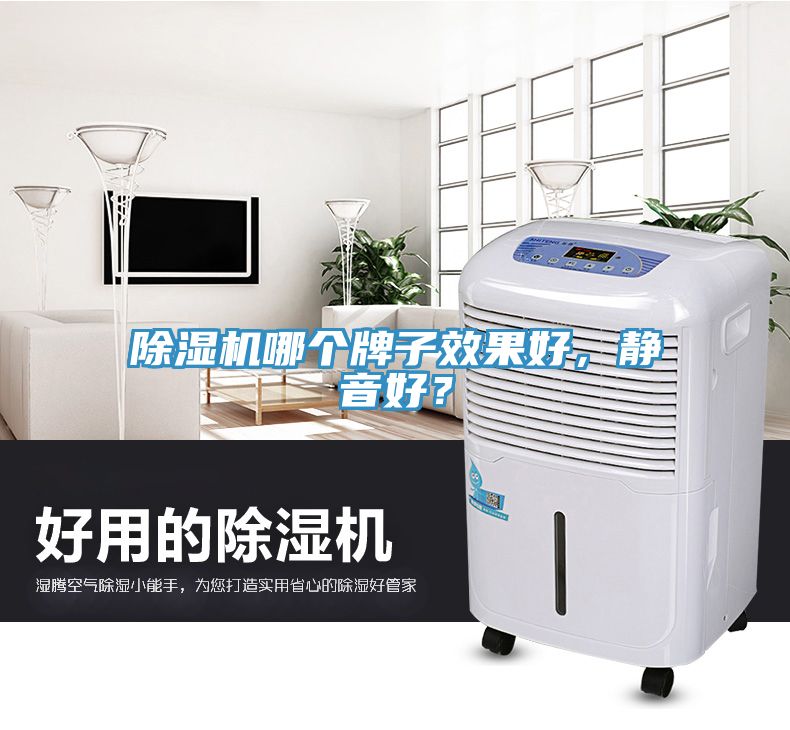 除濕機(jī)哪個(gè)牌子效果好，靜音好？
