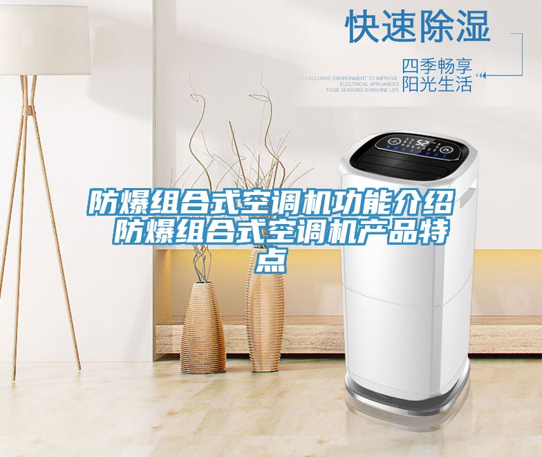 防爆組合式空調(diào)機(jī)功能介紹 防爆組合式空調(diào)機(jī)產(chǎn)品特點(diǎn)