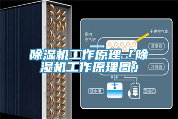 除濕機(jī)工作原理「除濕機(jī)工作原理圖」