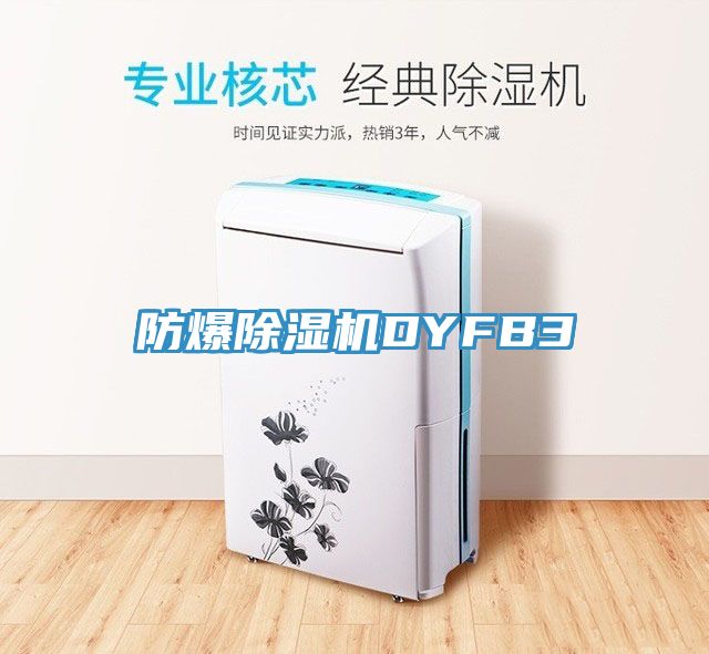 防爆除濕機DYFB3