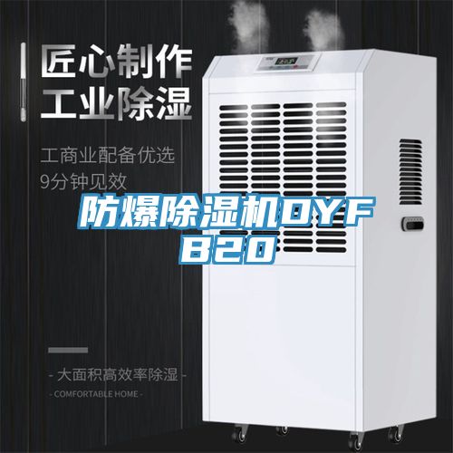 防爆除濕機DYFB20