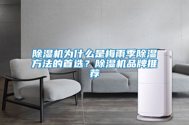 除濕機(jī)為什么是梅雨季除濕方法的首選？除濕機(jī)品牌推薦