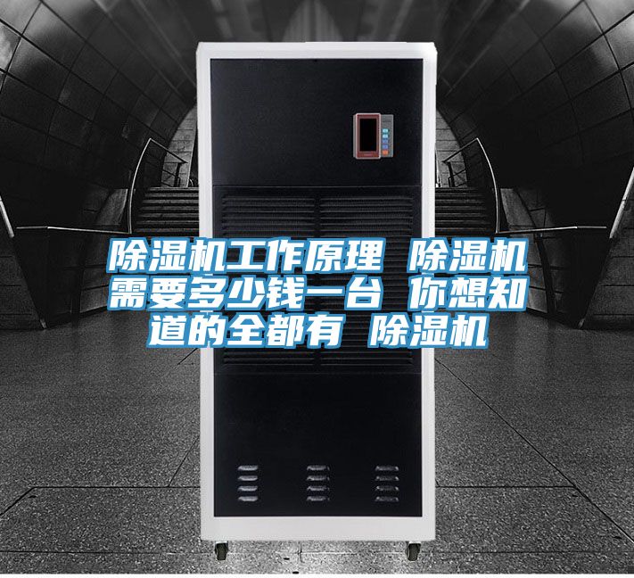 除濕機(jī)工作原理 除濕機(jī)需要多少錢一臺(tái) 你想知道的全都有 除濕機(jī)