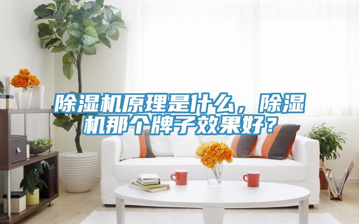 除濕機(jī)原理是什么，除濕機(jī)那個牌子效果好？