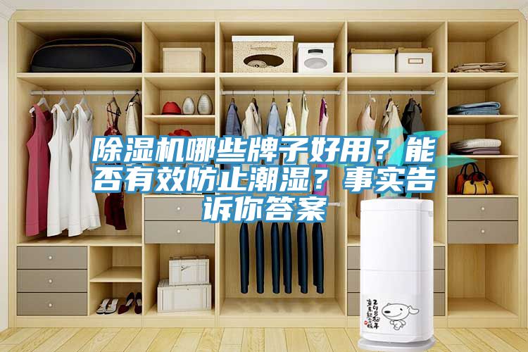 除濕機(jī)哪些牌子好用？能否有效防止潮濕？事實(shí)告訴你答案