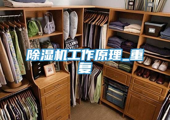 除濕機(jī)工作原理_重復(fù)