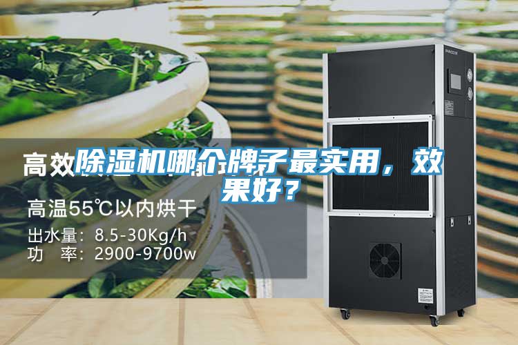 除濕機(jī)哪個(gè)牌子最實(shí)用，效果好？