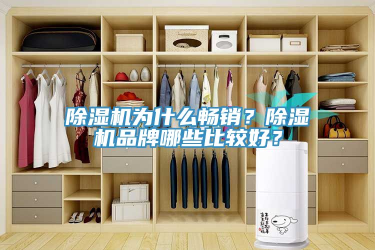 除濕機(jī)為什么暢銷？除濕機(jī)品牌哪些比較好？