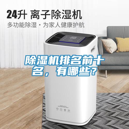 除濕機(jī)排名前十名，有哪些？
