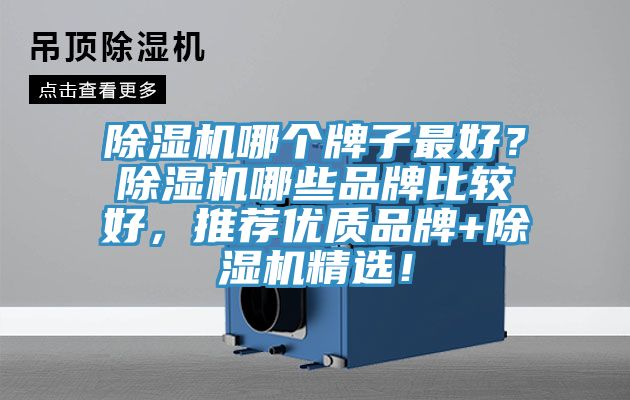 除濕機(jī)哪個(gè)牌子最好？除濕機(jī)哪些品牌比較好，推薦優(yōu)質(zhì)品牌+除濕機(jī)精選！
