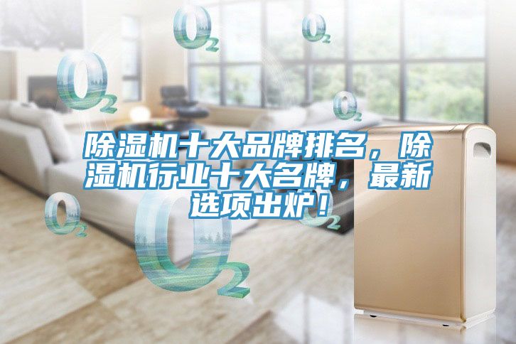 除濕機(jī)十大品牌排名，除濕機(jī)行業(yè)十大名牌，最新選項(xiàng)出爐！