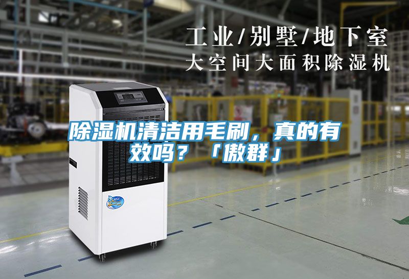 除濕機(jī)清潔用毛刷，真的有效嗎？「傲群」