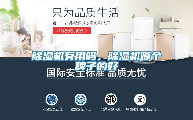 除濕機(jī)有用嗎，除濕機(jī)哪個(gè)牌子的好