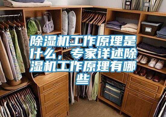 除濕機工作原理是什么，專家詳述除濕機工作原理有哪些
