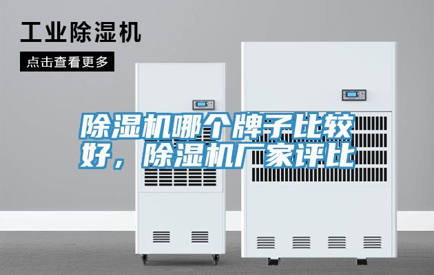 除濕機(jī)哪個(gè)牌子比較好，除濕機(jī)廠(chǎng)家評(píng)比
