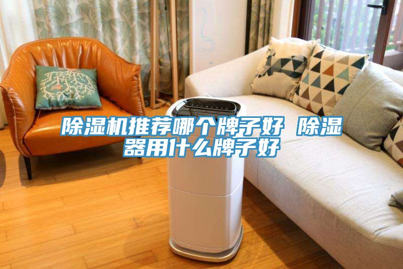 除濕機(jī)推薦哪個牌子好 除濕器用什么牌子好