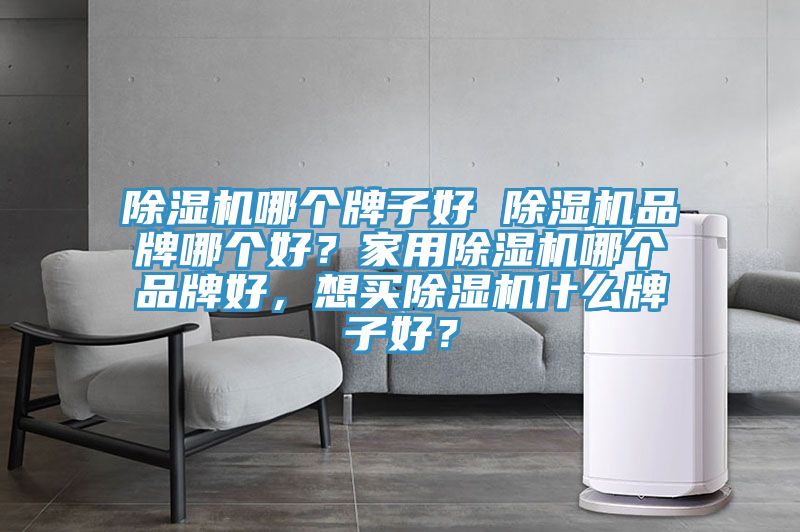 除濕機(jī)哪個牌子好 除濕機(jī)品牌哪個好？家用除濕機(jī)哪個品牌好，想買除濕機(jī)什么牌子好？