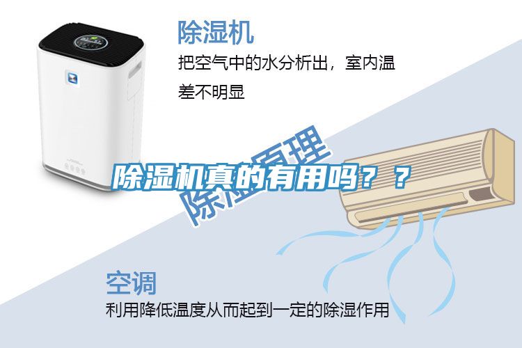 除濕機(jī)真的有用嗎？？