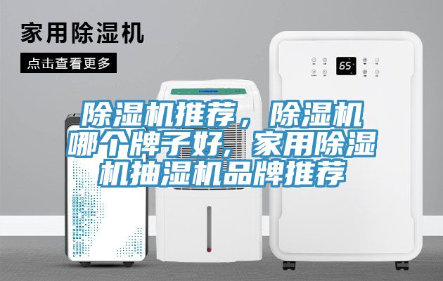 除濕機推薦，除濕機哪個牌子好, 家用除濕機抽濕機品牌推薦