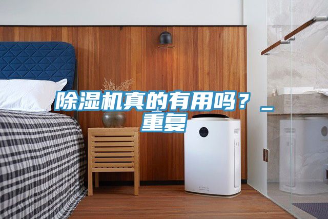 除濕機(jī)真的有用嗎？_重復(fù)
