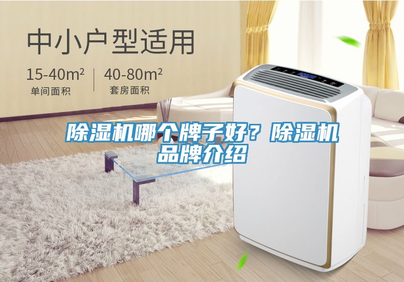 除濕機(jī)哪個(gè)牌子好？除濕機(jī)品牌介紹