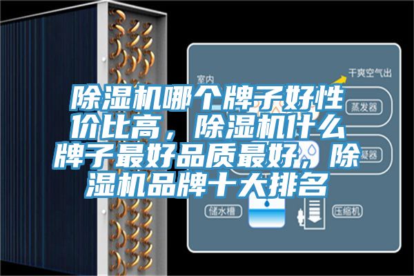 除濕機(jī)哪個牌子好性價比高，除濕機(jī)什么牌子最好品質(zhì)最好，除濕機(jī)品牌十大排名