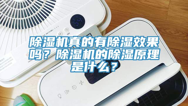 除濕機(jī)真的有除濕效果嗎？除濕機(jī)的除濕原理是什么？