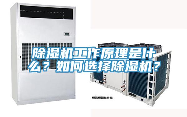 除濕機工作原理是什么？如何選擇除濕機？