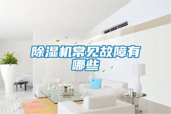 除濕機(jī)常見(jiàn)故障有哪些