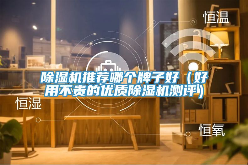 除濕機(jī)推薦哪個牌子好（好用不貴的優(yōu)質(zhì)除濕機(jī)測評）
