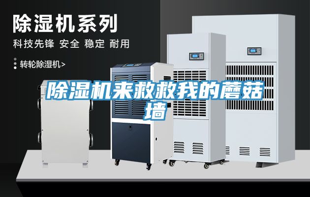 除濕機(jī)來救救我的蘑菇墻