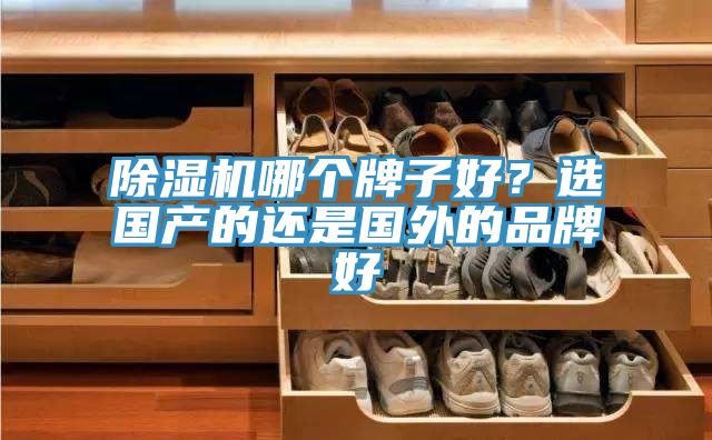 除濕機(jī)哪個(gè)牌子好？選國(guó)產(chǎn)的還是國(guó)外的品牌好