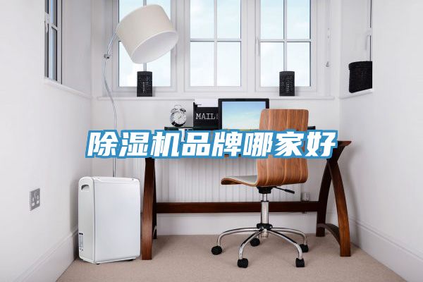 除濕機(jī)品牌哪家好