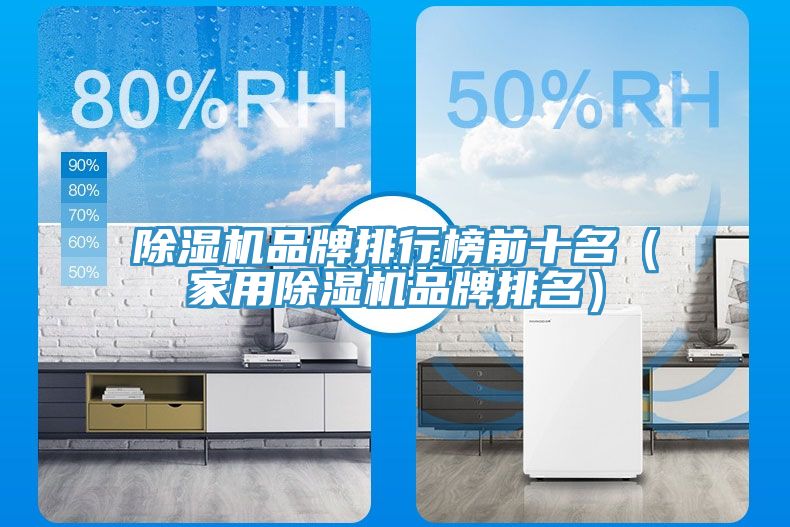 除濕機(jī)品牌排行榜前十名（家用除濕機(jī)品牌排名）