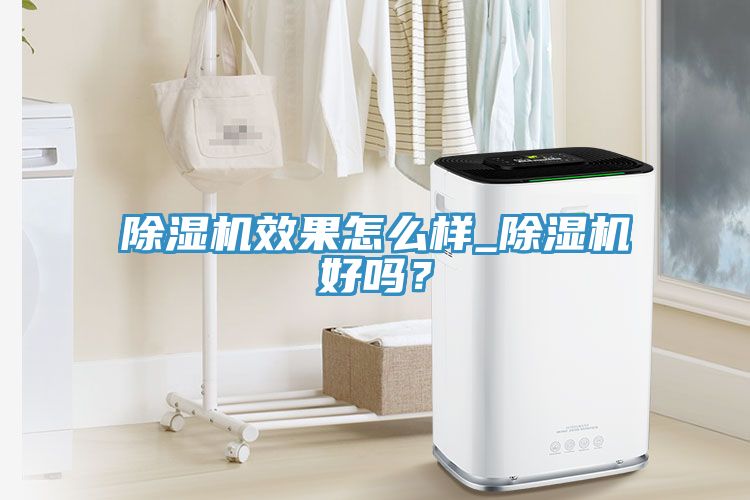 除濕機(jī)效果怎么樣_除濕機(jī)好嗎？