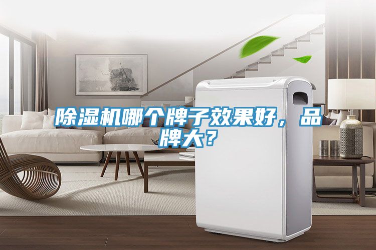 除濕機(jī)哪個(gè)牌子效果好，品牌大？