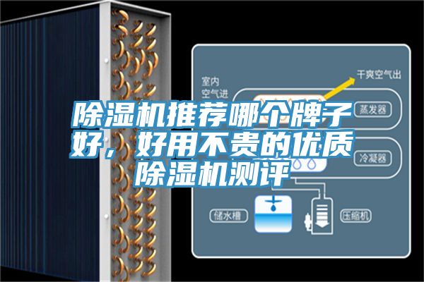 除濕機(jī)推薦哪個牌子好，好用不貴的優(yōu)質(zhì)除濕機(jī)測評