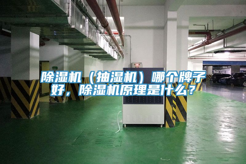 除濕機(jī)（抽濕機(jī)）哪個(gè)牌子好，除濕機(jī)原理是什么？