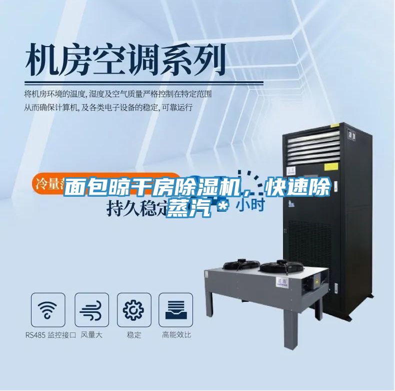 面包晾干房除濕機(jī)，快速除蒸汽＊