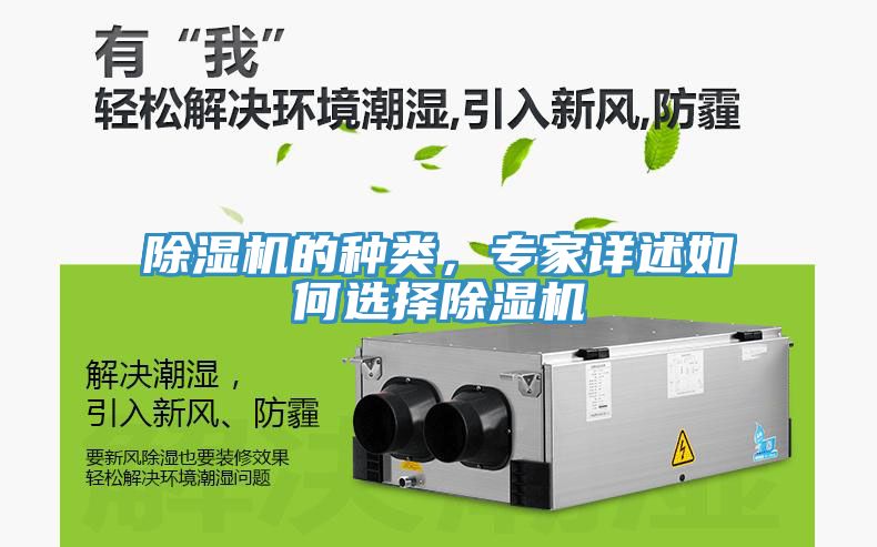 除濕機(jī)的種類，專家詳述如何選擇除濕機(jī)