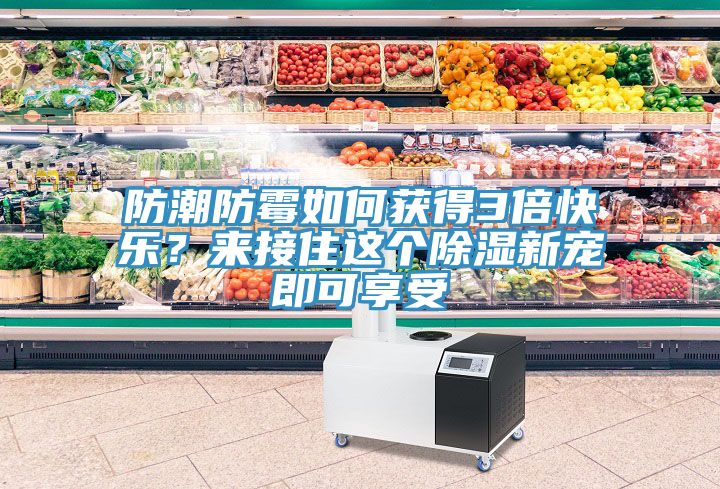 防潮防霉如何獲得3倍快樂？來接住這個(gè)除濕新寵即可享受