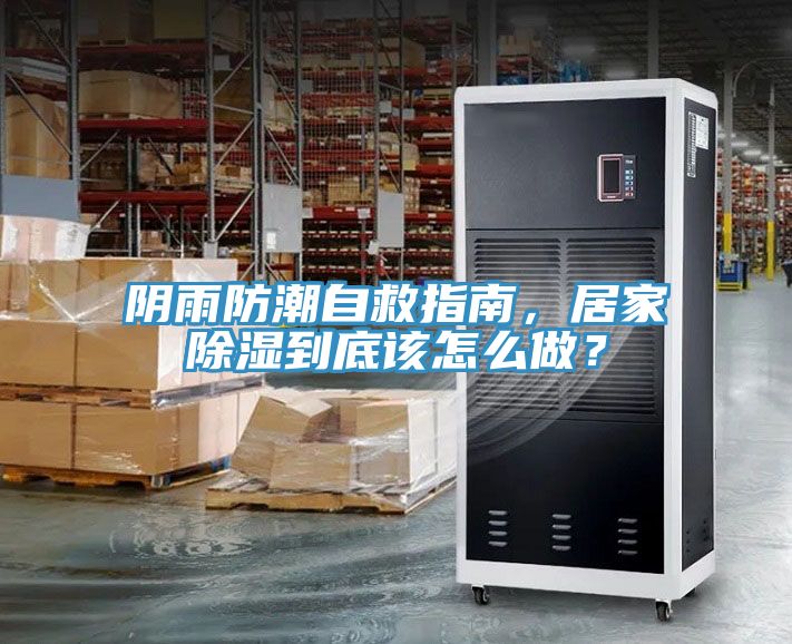 陰雨防潮自救指南，居家除濕到底該怎么做？
