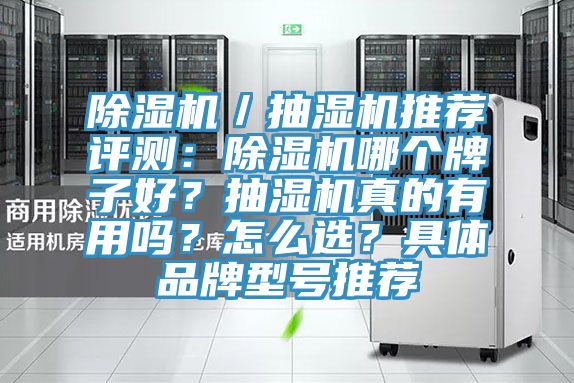 除濕機／抽濕機推薦評測：除濕機哪個牌子好？抽濕機真的有用嗎？怎么選？具體品牌型號推薦