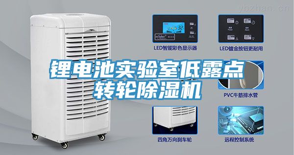鋰電池實驗室低露點轉(zhuǎn)輪除濕機(jī)