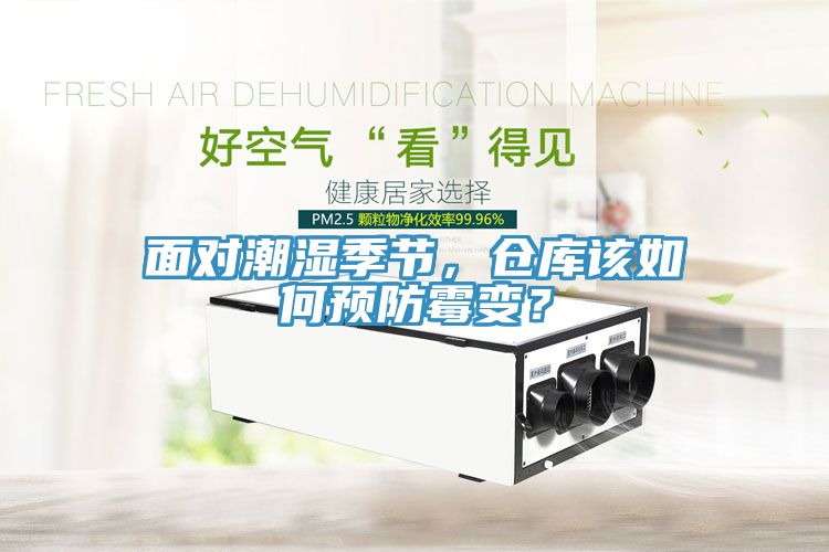 面對(duì)潮濕季節(jié)，倉(cāng)庫(kù)該如何預(yù)防霉變？